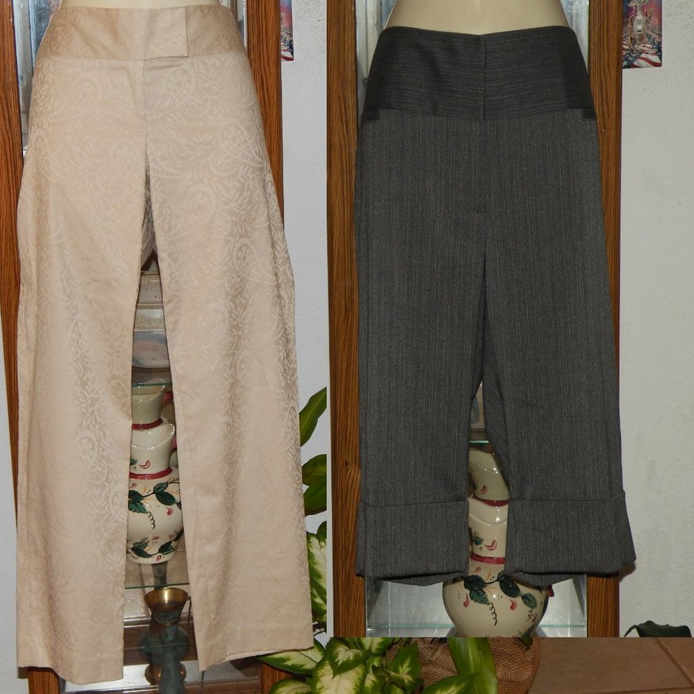 NWT $303 CYNTHIA STEFFE Jaquard & KAREN KANE Cropped M 10